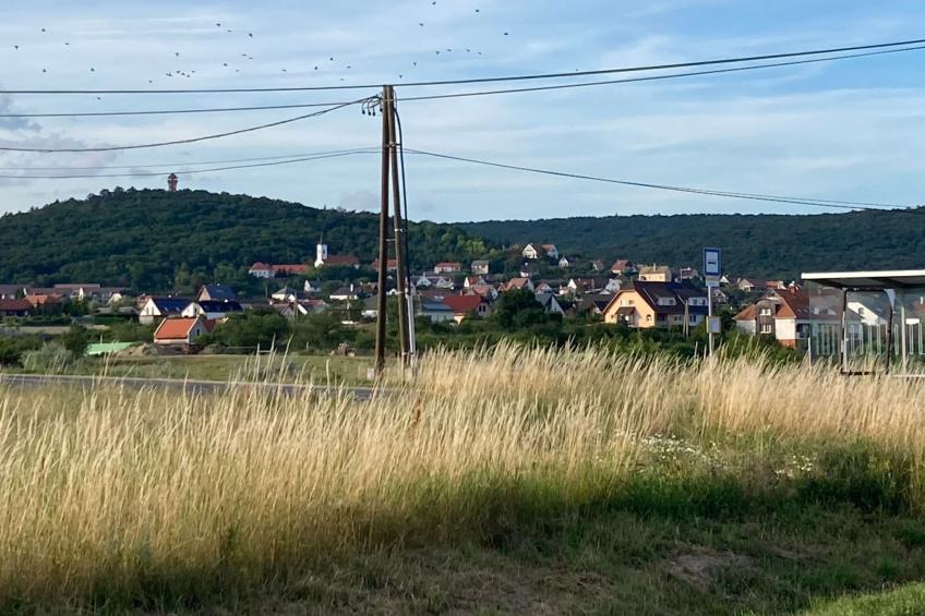 Ancsi - foto 2