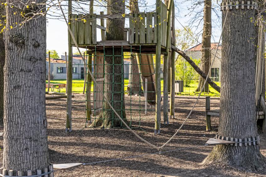 Krosse Krabbe 763 (Seenähe) - foto 35