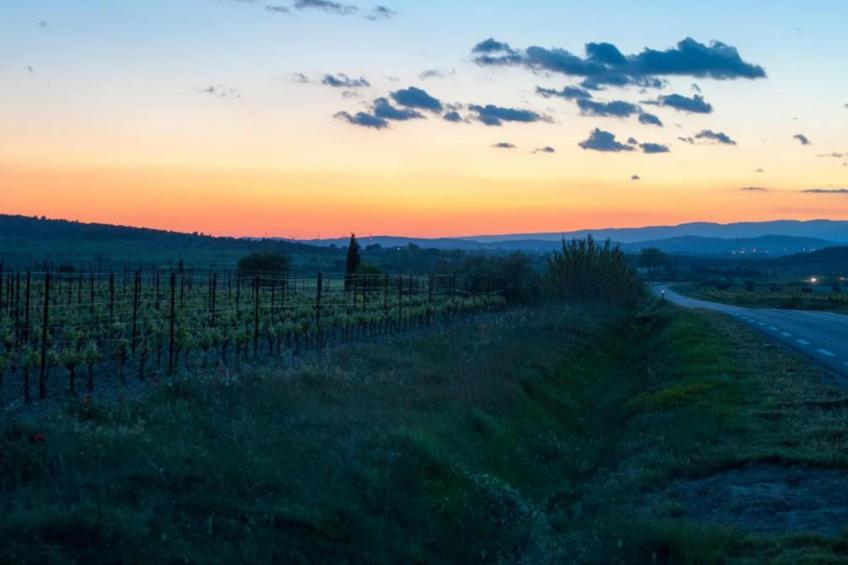 Affele - MONTBRUN-DES-CORBIÈRES - foto 39