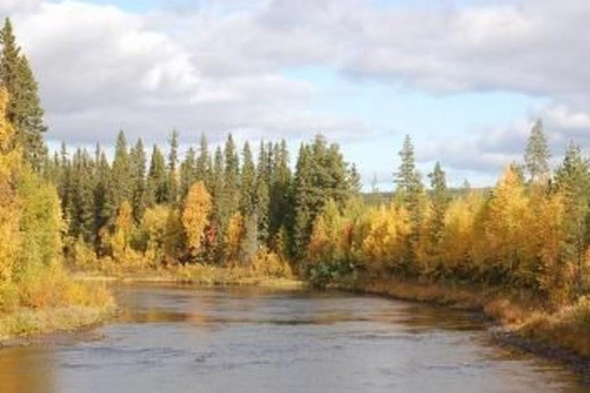 in Sorsele mit Garten und Grill - foto 6