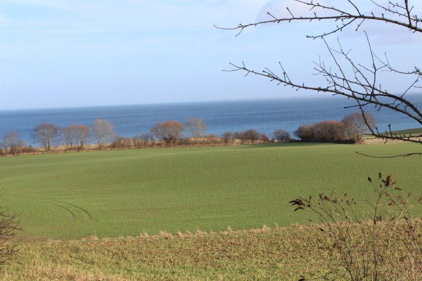 "Hoimar" - 400m from the sea in SE Jutland - foto 8