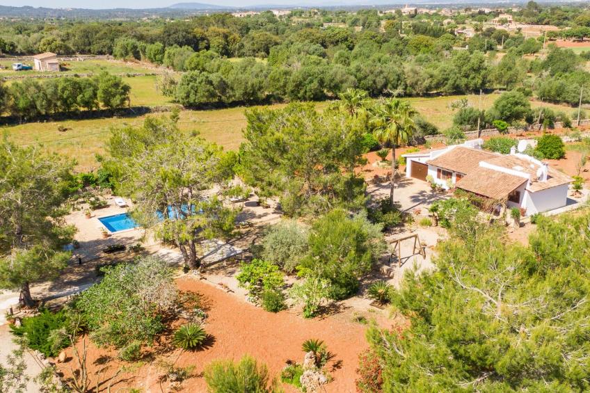 Mulet Llubi - foto 38