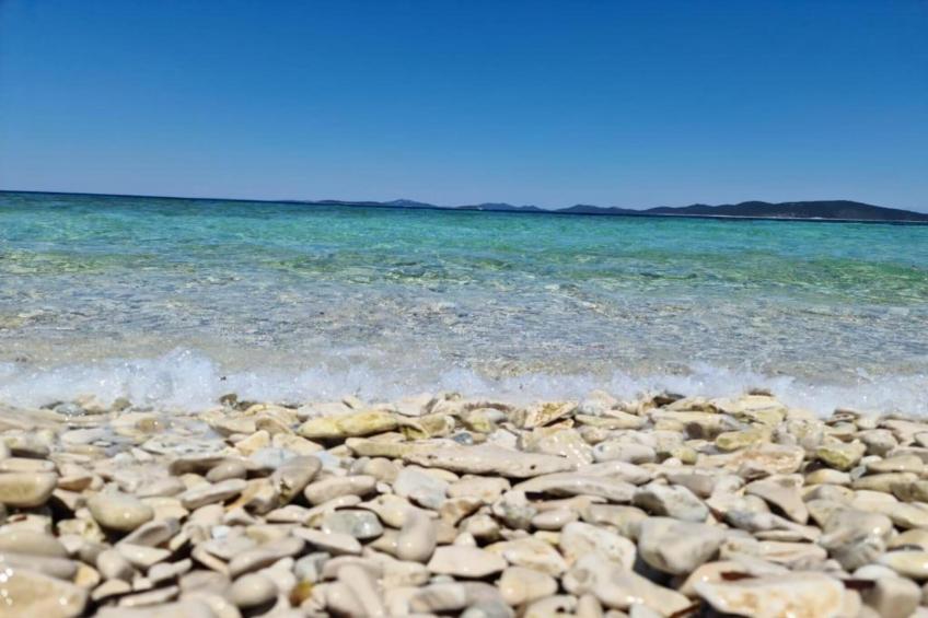 Gorgonia S2 - foto 23