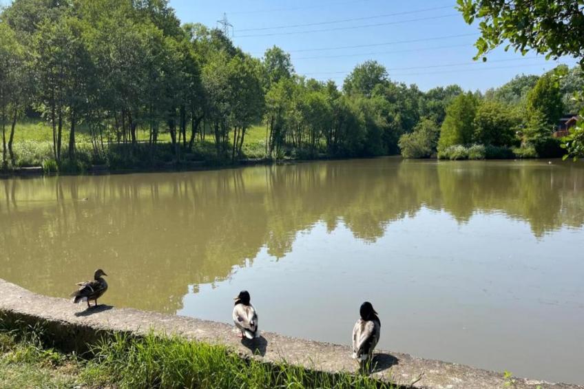 Little Dunley - Oaktree Cottage - foto 27