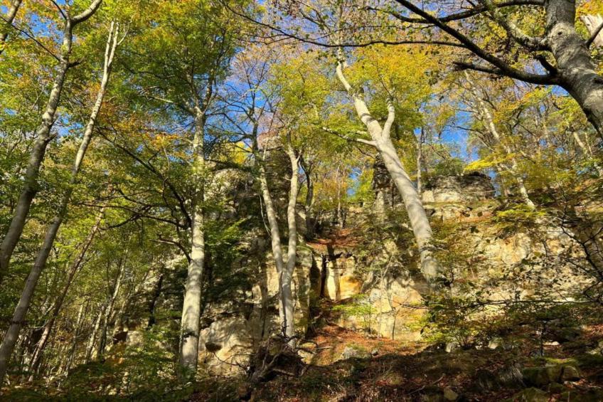 Resort Echternacherbrück 2 - foto 16