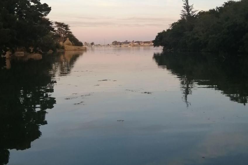 Bretagne Loctudy Haus Les Camélias 3 Personen - foto 28