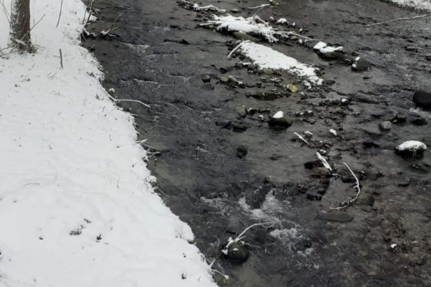 Vila Roberta Breaza Brasov - foto 26