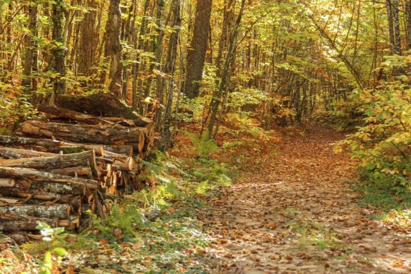 Le Chiquedou - foto 26