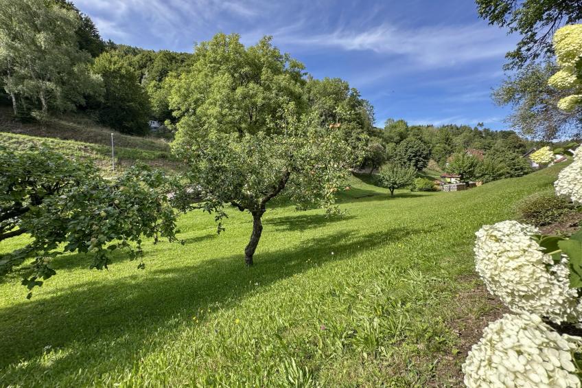 Gläserberg - foto 17