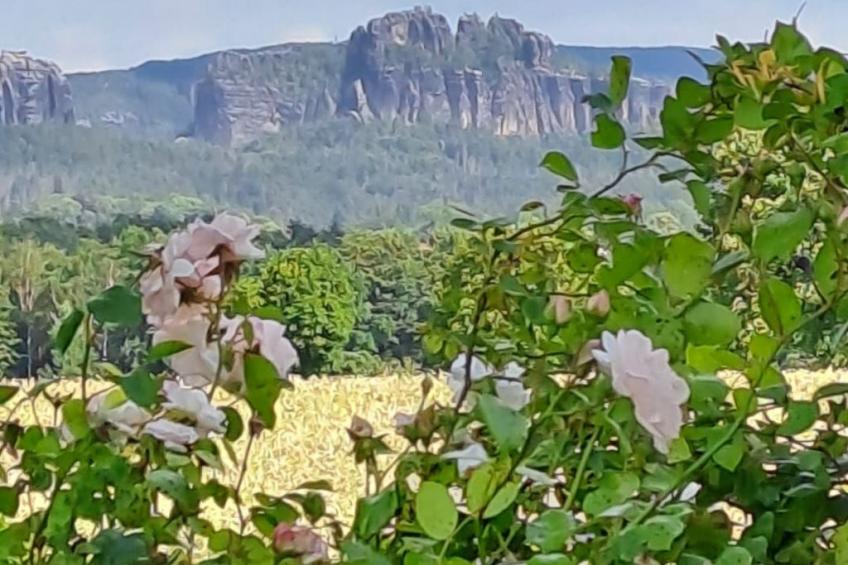 Schöne Ferienwohnung mit Garten und Grill - foto 7