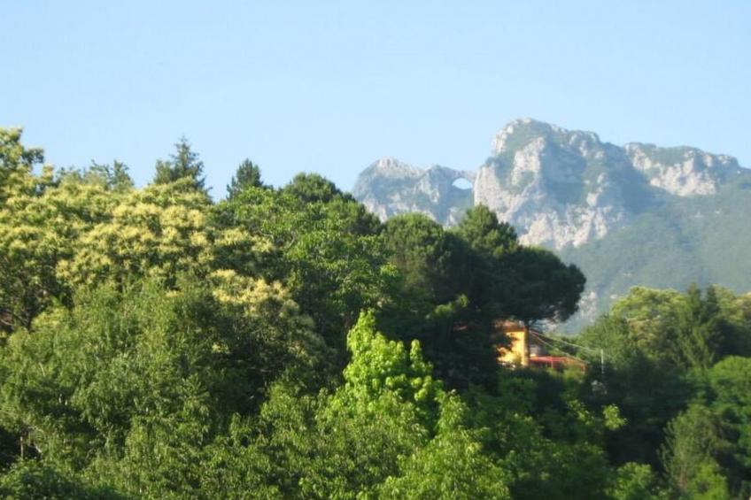 Emilia - foto 13