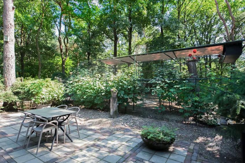 De Rode Ibis - foto 15