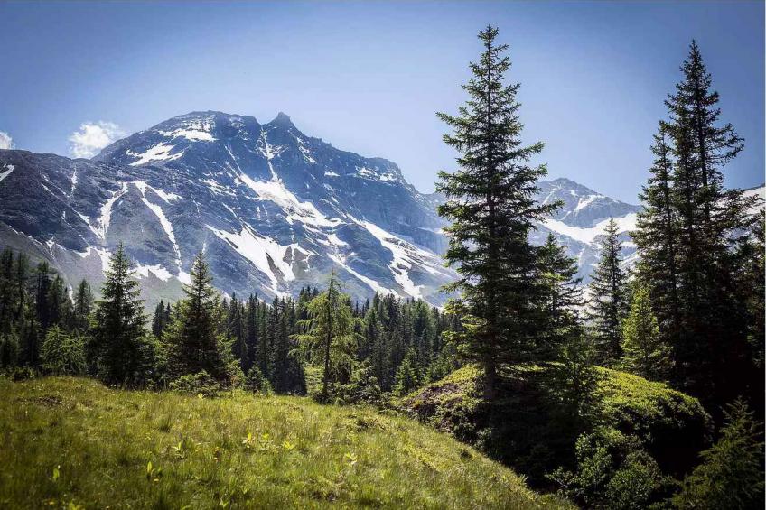 Holiday apartment With a view of the high Sonnblick - BF-R942 - foto 4