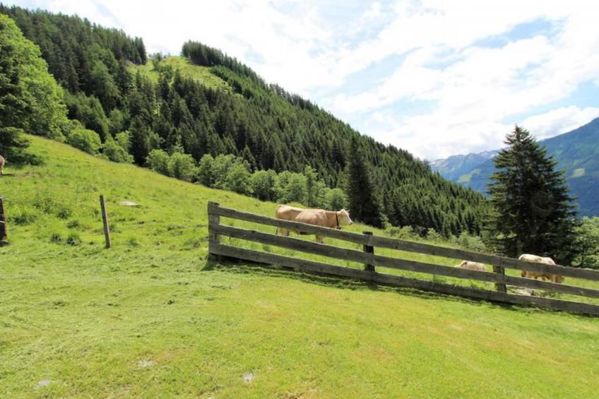 Almhütte Unterhofer - foto 17