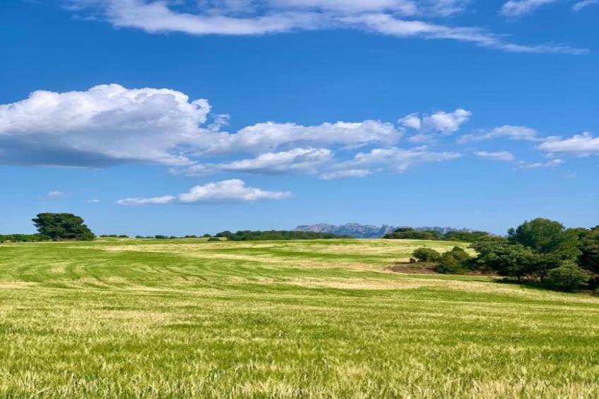 Vilanova Park BUNGALOW 4 PAX S150 - foto 26