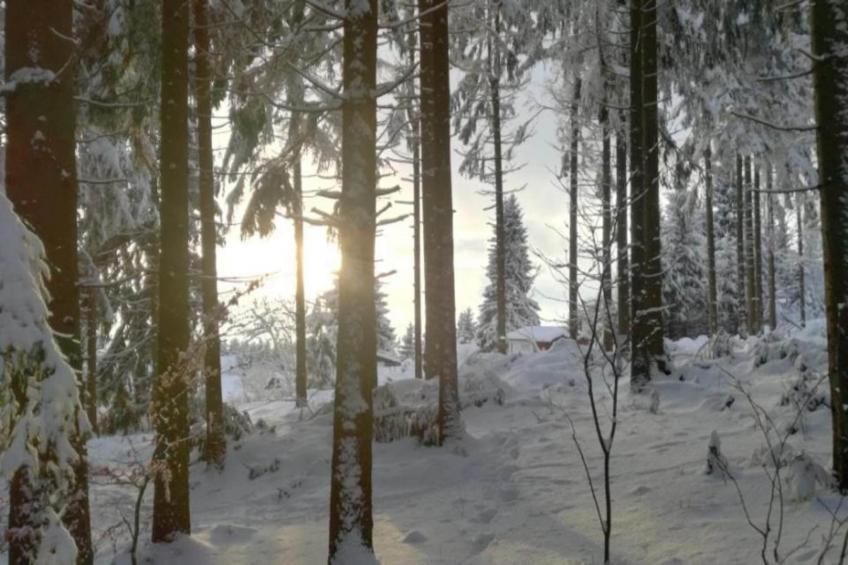 Ferienhaus Anna - foto 35