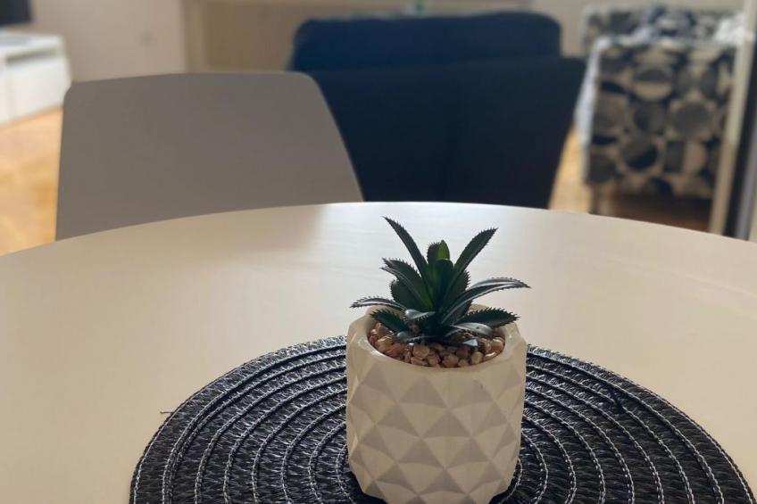 Studio in zentraler Lage - nur wenige Minuten zum See und Stadt - foto 4