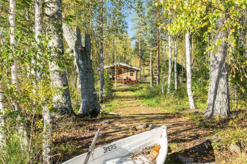 Niemenkärki, vaikon loma ja lohi - foto 30