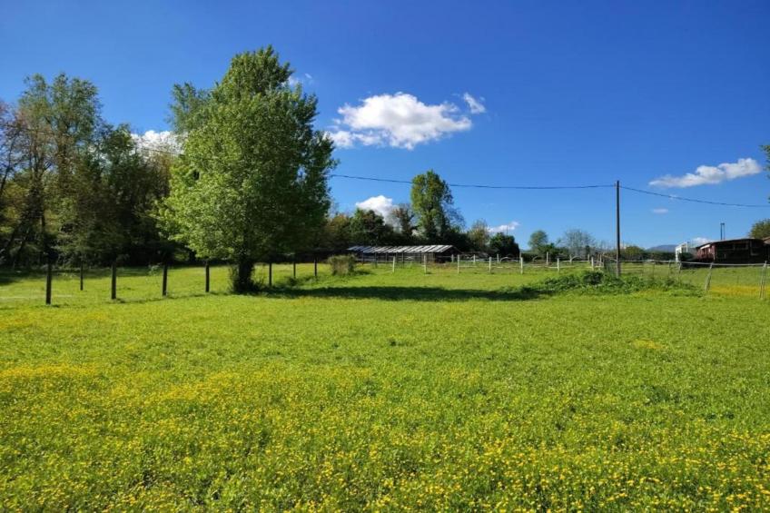 Villa Carpaneto - foto 30