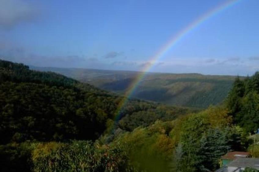 Am Waldrand - foto 13