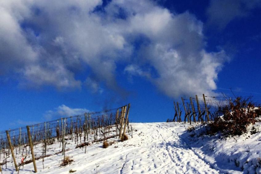 Traumwohnung - foto 47