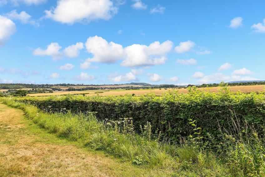 Vakantiepark Reevallis 6 - foto 12