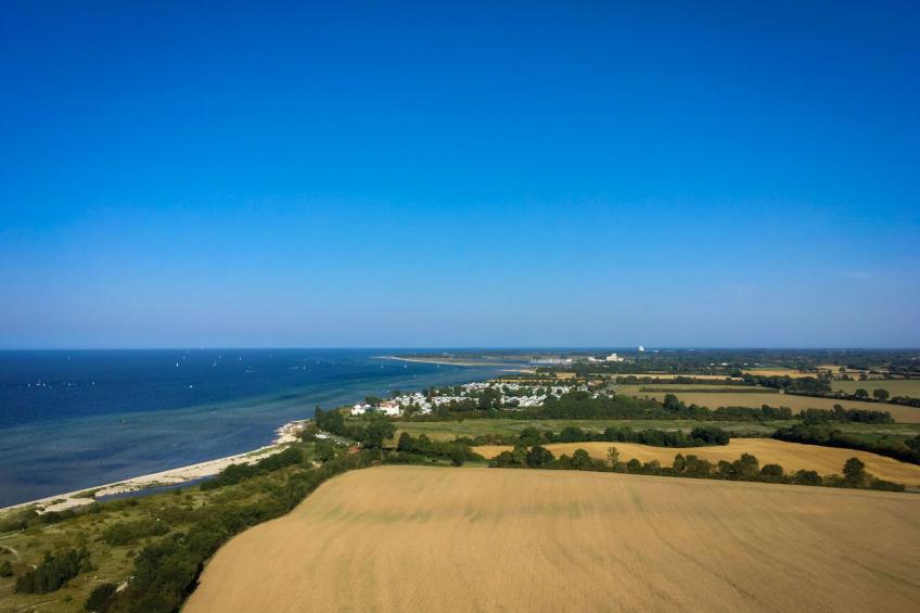 in Lutterbek mit Kleinem Garten - foto 25