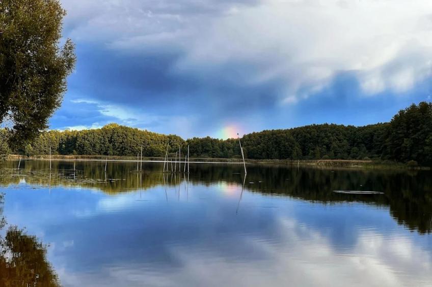 Nr4 Müritzsee 3 Personen - foto 58