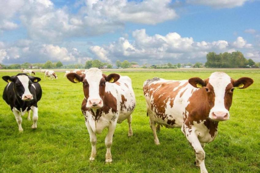 Buitenplaats Holten 16 - foto 32