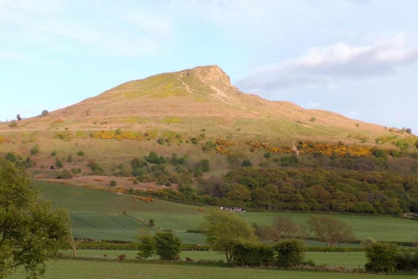 Ingleby Manor - South Front - foto 16