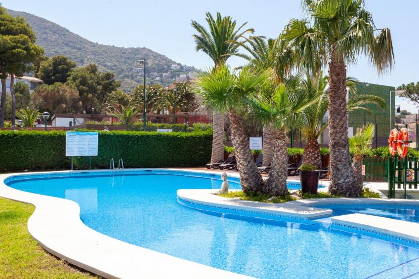 Palmiers 01 - foto 15