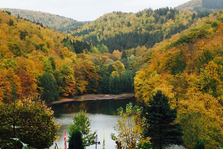 Freistehendes Ferienhaus in Sieber mit Terrasse, Garten und Grill - foto 6