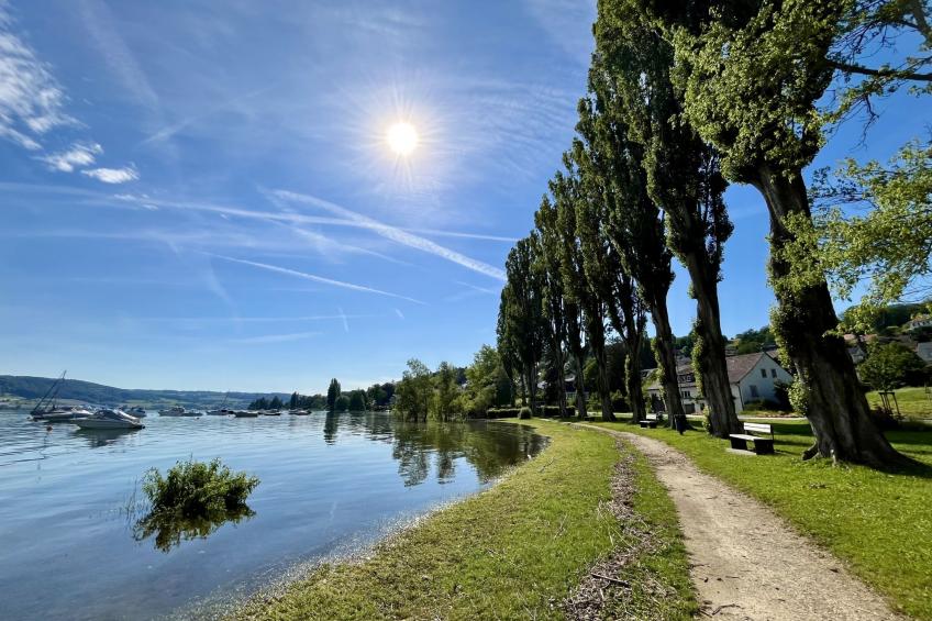 Haus am See mit direktem Seeanstoss - foto 13