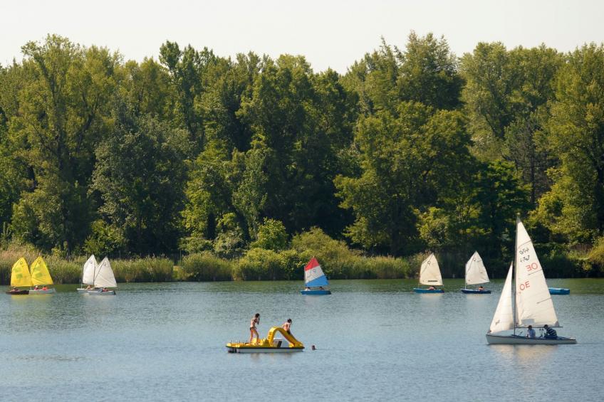Moderne Wohnung in Kaisermühlen mit Garten und Panoramablick - foto 33