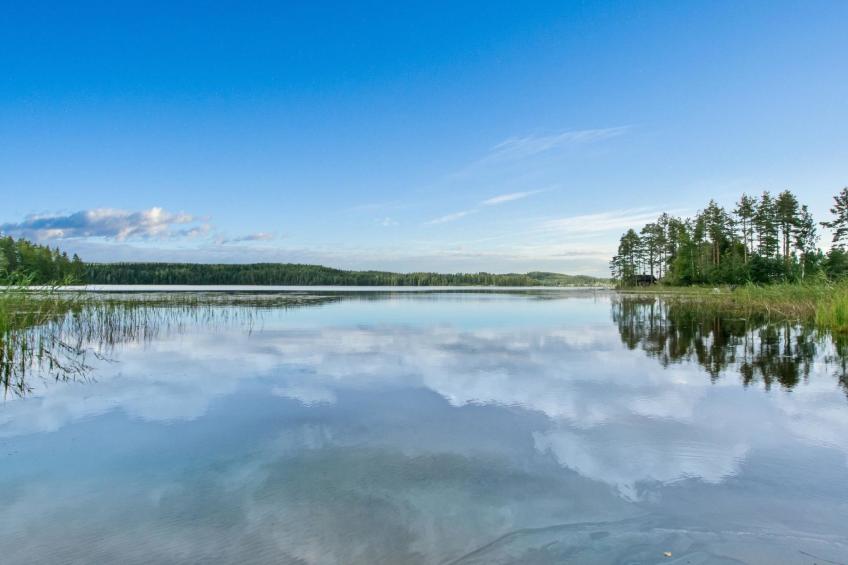 Sammallehto - foto 24