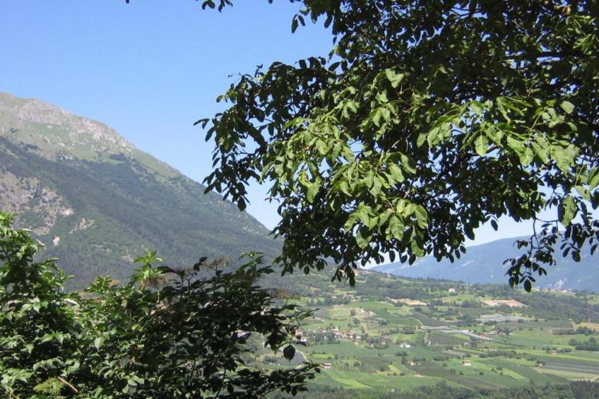 Casa Vacanze a Stenico - foto 39