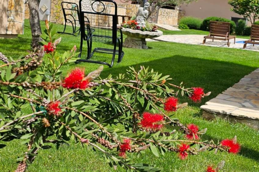 Villa Popovića Dvori -  Six Bedroom Villa with Pool - foto 26