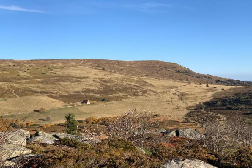 Goutte-Claire - foto 34