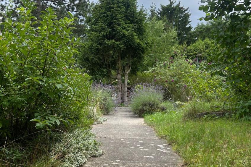 Datscha im Grünen - foto 40