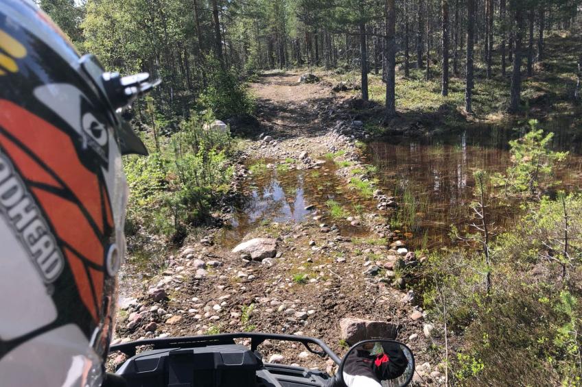 Landhaus auf großem Rasengrundstück - foto 30