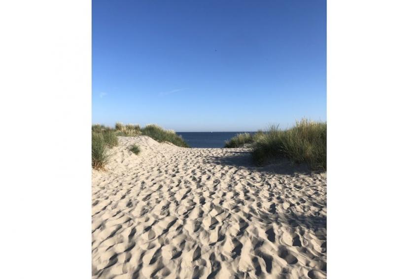 44358 - foto 38