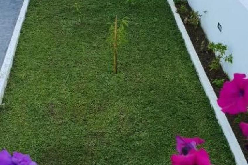 Warmwasser Haus 2 - foto 36