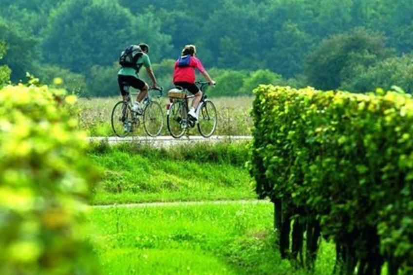 Gasthaus Villa Habana - foto 52