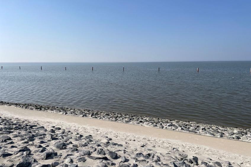 Am Koper Sand - foto 27