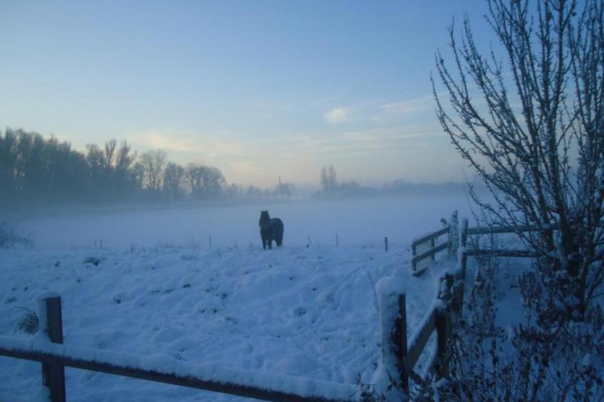 Spijk vakantiehuis - foto 20