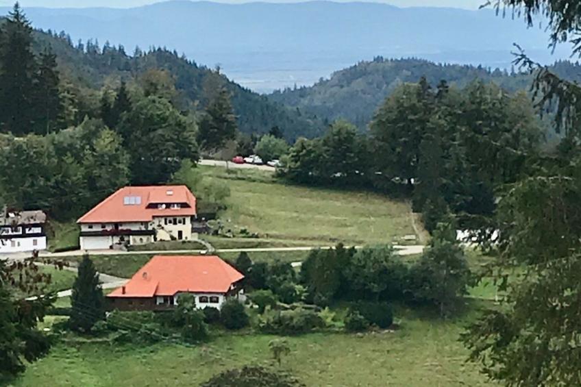 Haus Alpenblick - foto 13