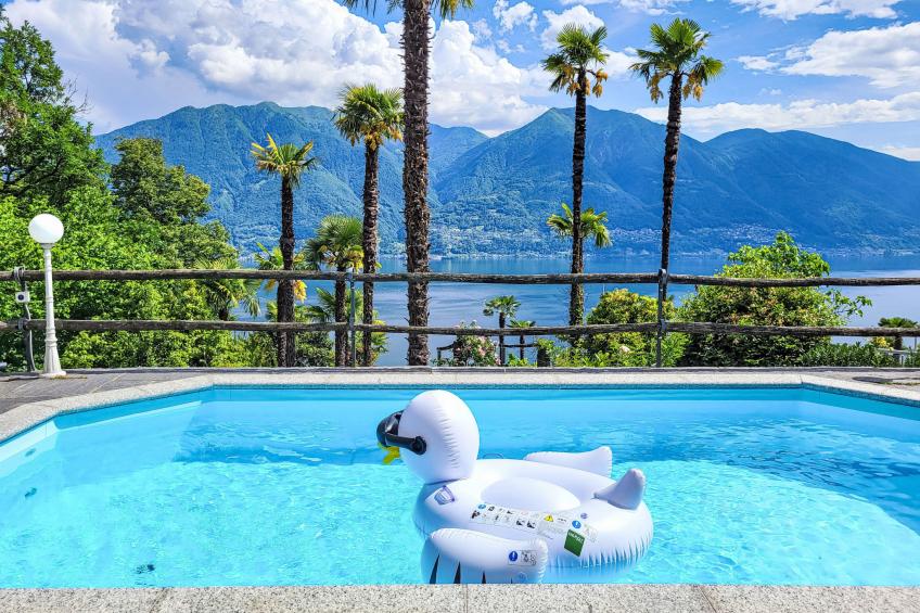 Vernice Gialla - foto 31