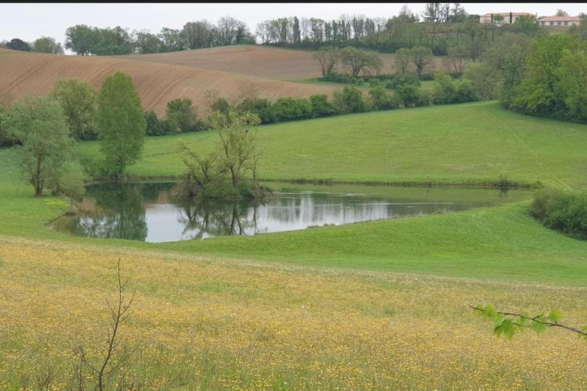 Maison de grand charme - foto 33