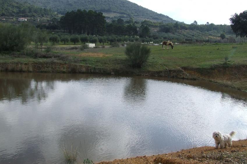 Finca "El Chorrillo" mit gemeinschaftlichem Pool - foto 25