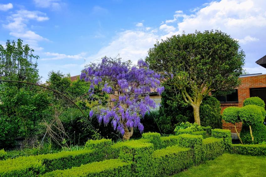 Gemütliches Haus mit eingezäuntem Garten - foto 18